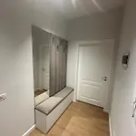 Steisi Luxe *